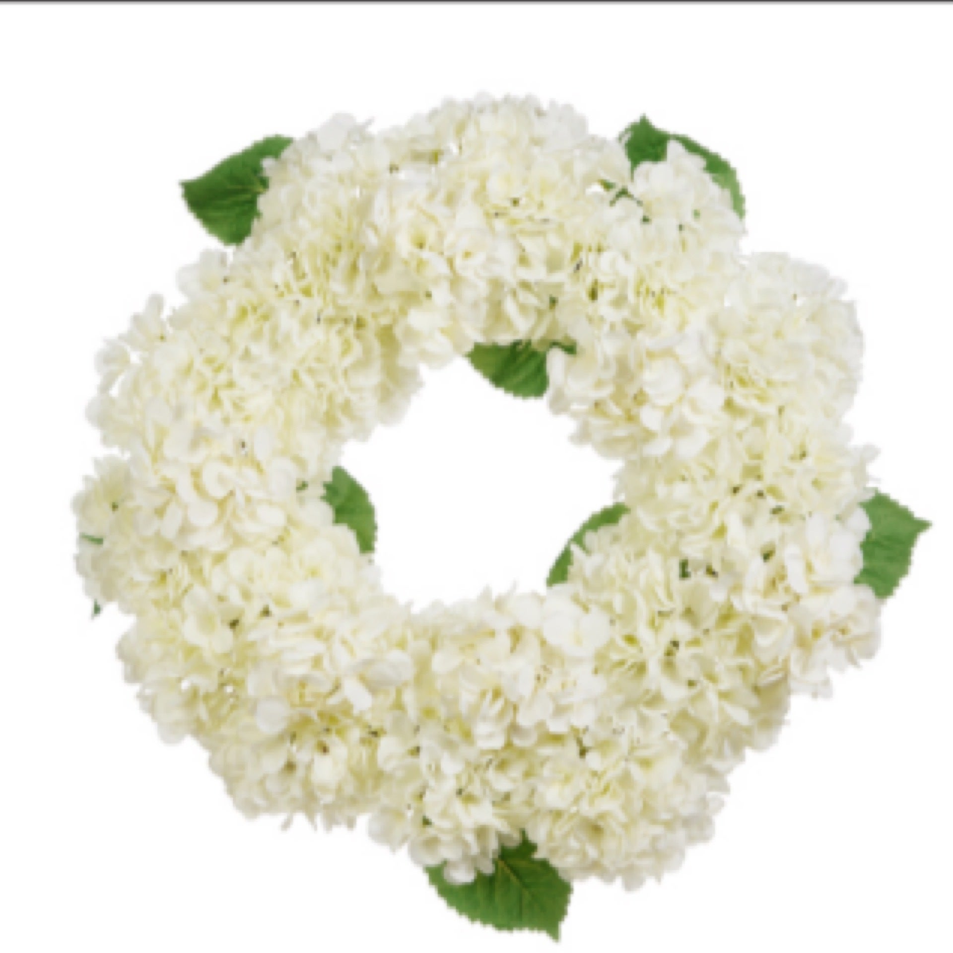 26” White Hydrangea Wreath